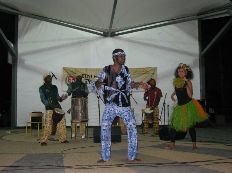Zorganizowanie cyklu wydarzeń kulturalnych, kulinarnych i rekreacyjnych w Dolinie Karpia na terenie Gminy Brzeźnica pod nazwą „Letni Festiwal Kultury - Brzeźnica 2012